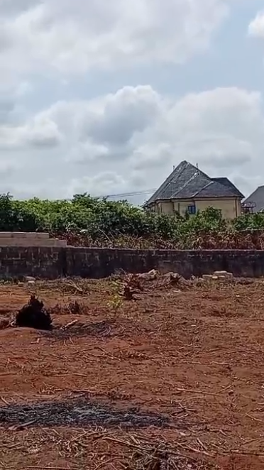 Property Visual