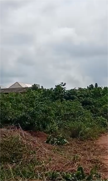 Property Visual