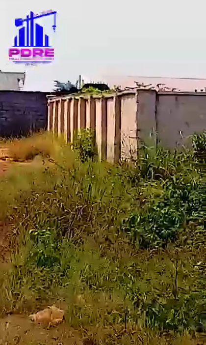 Property Visual