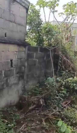 Property Visual