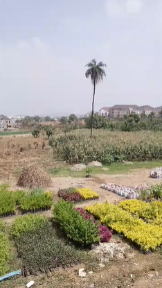Property Visual