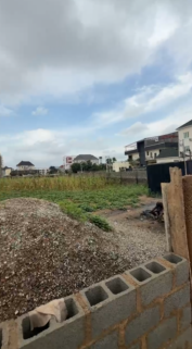Property Visual