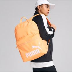 Cupom exclusivo para assinantes meli