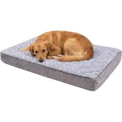 Cama Pet Ortopedica Grande Colchonete