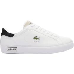 Tênis Lacoste Masculino Powercourt De
