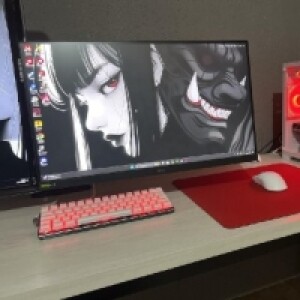 Monitor LG Ultragear 24" FHD