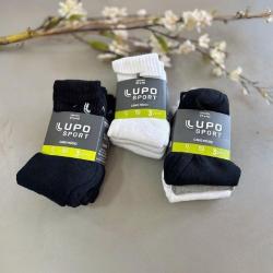 Kit 6 Pares Meias Lupo