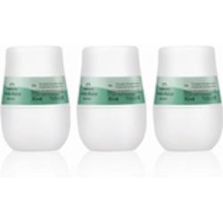 Kit Desodorante Roll-on Erva Doce