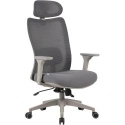 Cadeira Ergonômica Elements Astra Pro