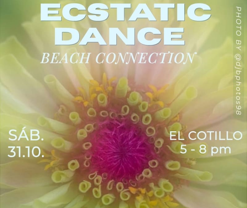Ecstatic Dance — Foto 1