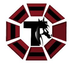 Tarcontent Developers Limited