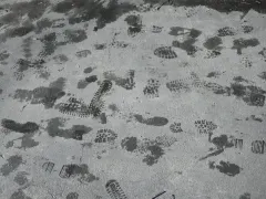 Дождь и мокрый снег прогнозируют в начале рабочей недели на Ставрополье