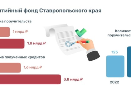 Гарантийный фонд Ставрополья выдал 169 поручительств с начала текущего года