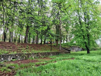 Жителю Кисловодска после укуса насекомого понадобилась помощь хирургов