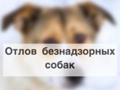 На территории села Ладовская Балка планируется проведение мероприятия по отлову животных (собак) не имеющих владельцев