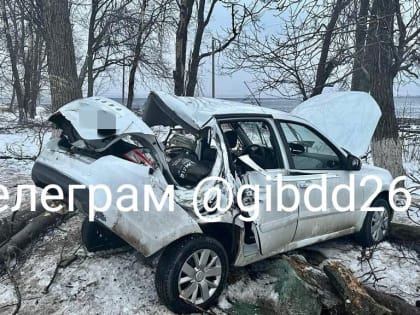 В аварии в Кировском округе пострадали беременная женщина и ребенок