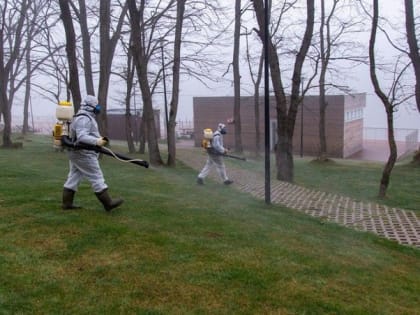 Более 1,2 тыс. детей пострадали от укусов клещей на Ставрополье