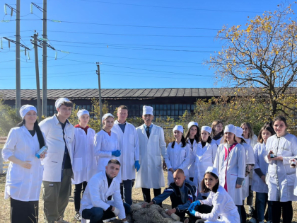 В СтГАУ прошла противопаразитарная обработка животных