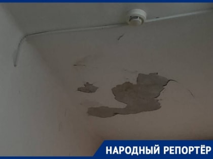 «Сыпется штукатурка на голову»: жители Невинномысска рассказали о плачевном состоянии медучреждения