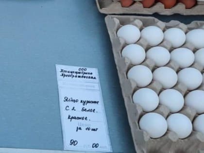 Сегодня в Ставрополе можно было купить яйца по 90 рублей