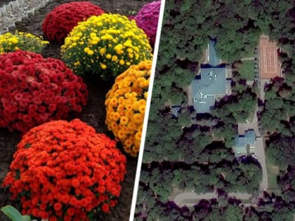 Правительство Ставрополья увеличивает расходы на озеленение резиденций и собственных зданий «для государственных нужд»