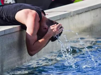 Жара до +38 градусов ожидает ставропольцев в начале недели