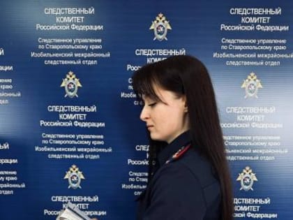 В Изобильненском округе бывший адвокат подозревается в мошенничестве