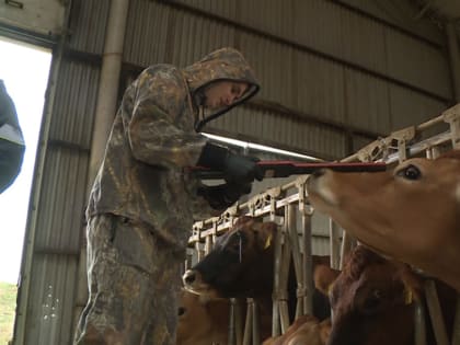 Политолог: Ставрополье позиционируется как лидер в обеспечении продбезопасности