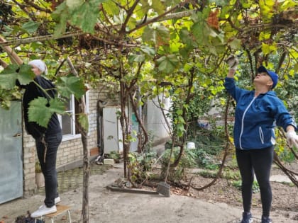 В Степновском округе доброделы помогли пенсионерке