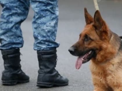 Угроза о минировании здания администрации поступила в Кисловодске