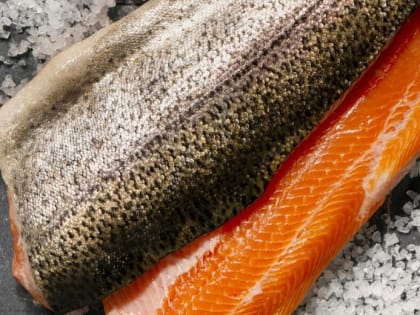 Антибиотик в форели выявили в лаборатории