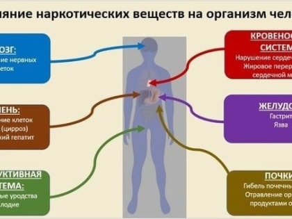 С 27 февраля по 5 марта 2023 года в России проходит Неделя профилактики употребления наркотических средств.