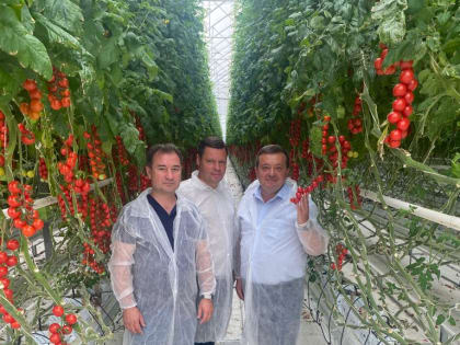 20 июня Глава Советского ГО Сергей гультяев совместно с заместителем - начальником Управления сельского хозяйства и охраны окружающей среды администрации Советского ГО Владимиром Ф