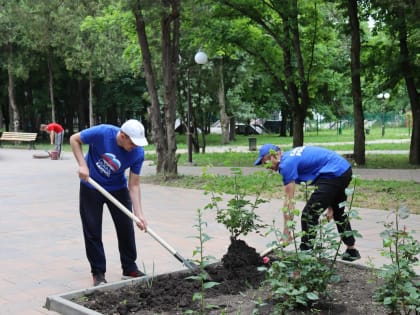 В городском парке Лермонтова вновь зацветут клумбы