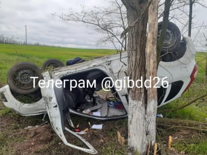 Водителя доставили в реанимацию после опрокидывания авто в Грачёвском округе