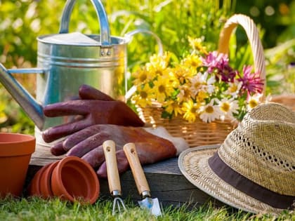 В 2023 году в Ставрополе продолжается реализация городской программы поддержки дачников