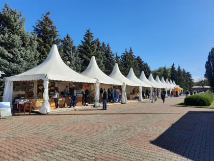 В Ставрополе на Покровской ярмарке пройдут экологические акции