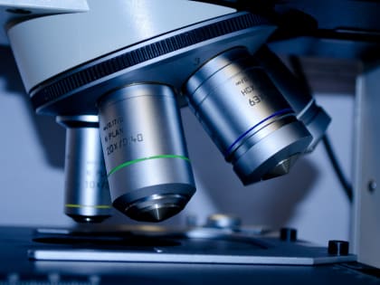 Энтерококки: почему вредны и как избежать вредоносного воздействия?