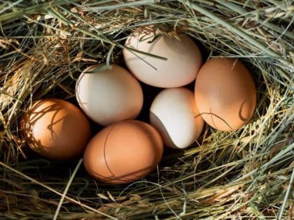 Совместный с прокуратурой рейд по ценам планирует провести минэк Ставрополья