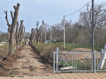 Сирень никуда не денется
