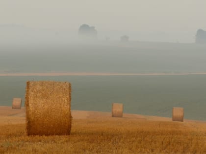 Грозовой дождь и +37 градусов: какая погода ждет Ставрополье в начале недели?