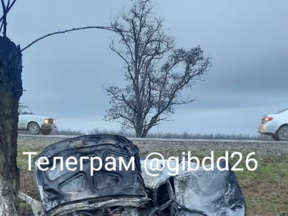 Два человека пострадали в ДТП с грузовиком и горящей легковушкой на Ставрополье