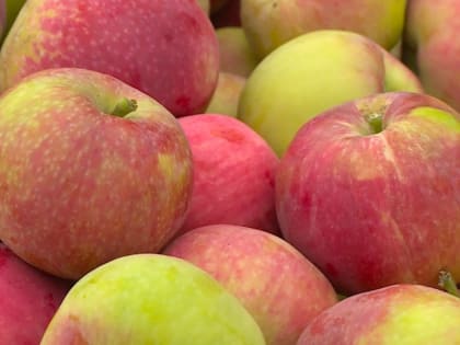 Помидоры и яблоки подешевели на Ставрополье за неделю