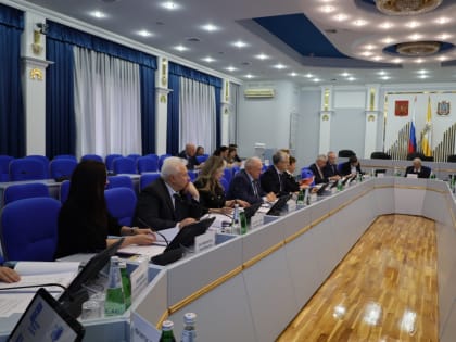 Депутаты работают над корректировками краевого закона о муниципальной службе