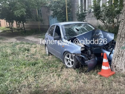 В Александровском округе нетрезвый водитель угодил в дерево 