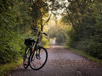 Житель Пятигорска похитил велосипед в торговом центре и продал