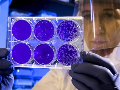 Города и районы Ставрополья с наибольшим числом заболевших COVID-19 на 07.02.2023