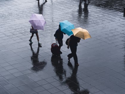 Ставрополье ожидает дождливое начало недели