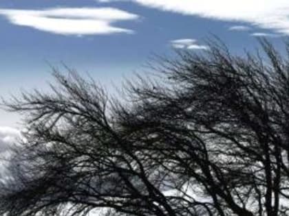 В ближайшие дни на Ставрополье будет ветрено