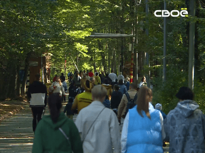 Больше 6 км по лесным дорожкам прошли участники акции в Ставрополе